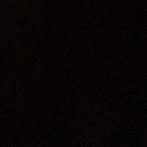 Meet your Posher, Joey